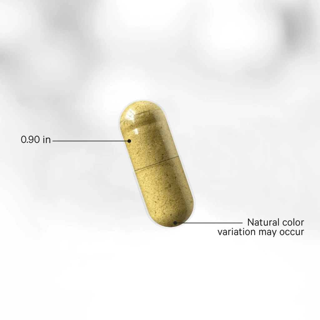 Fermented Digestive Enzymes+ Capsules - Image 3