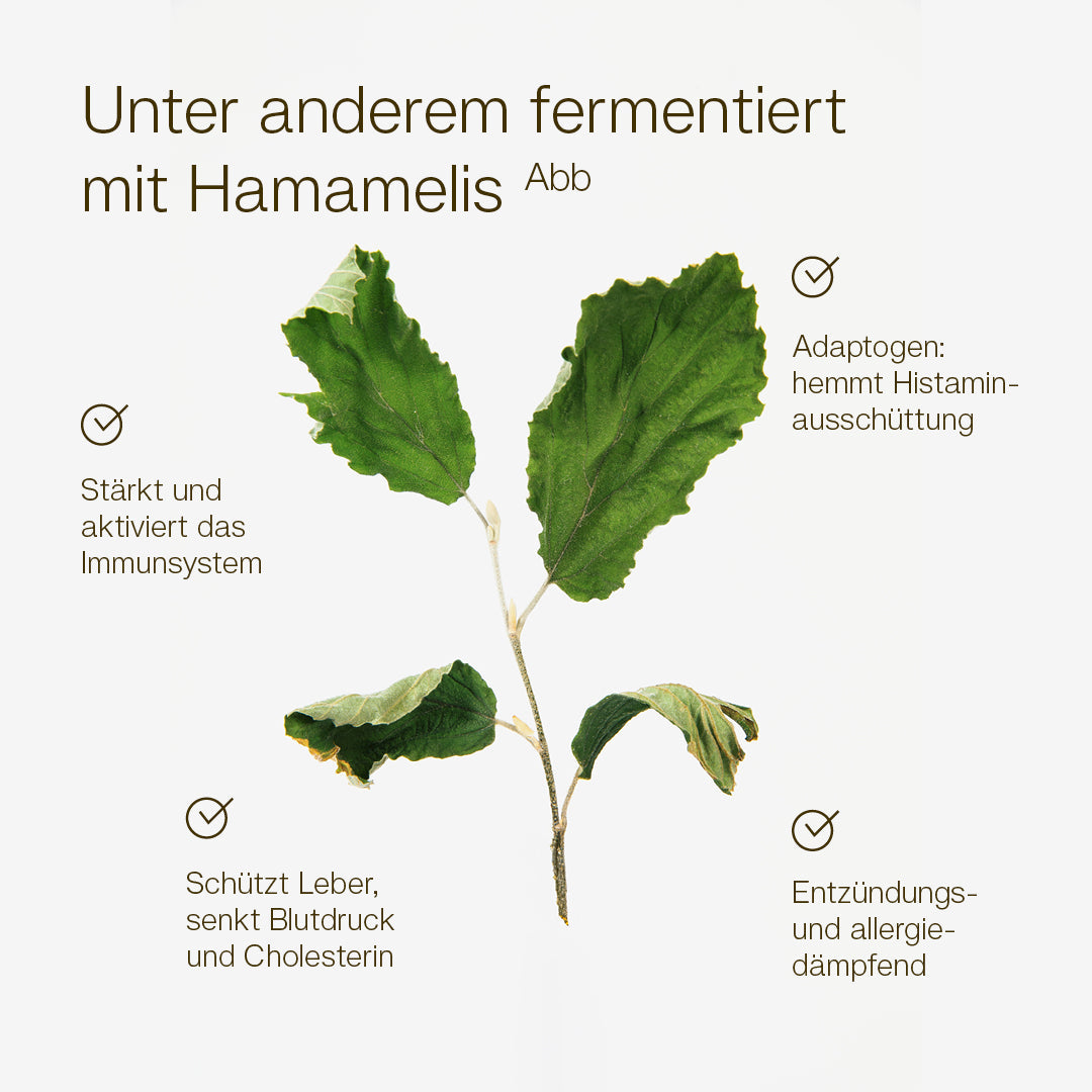 Derma Spray - Image 4